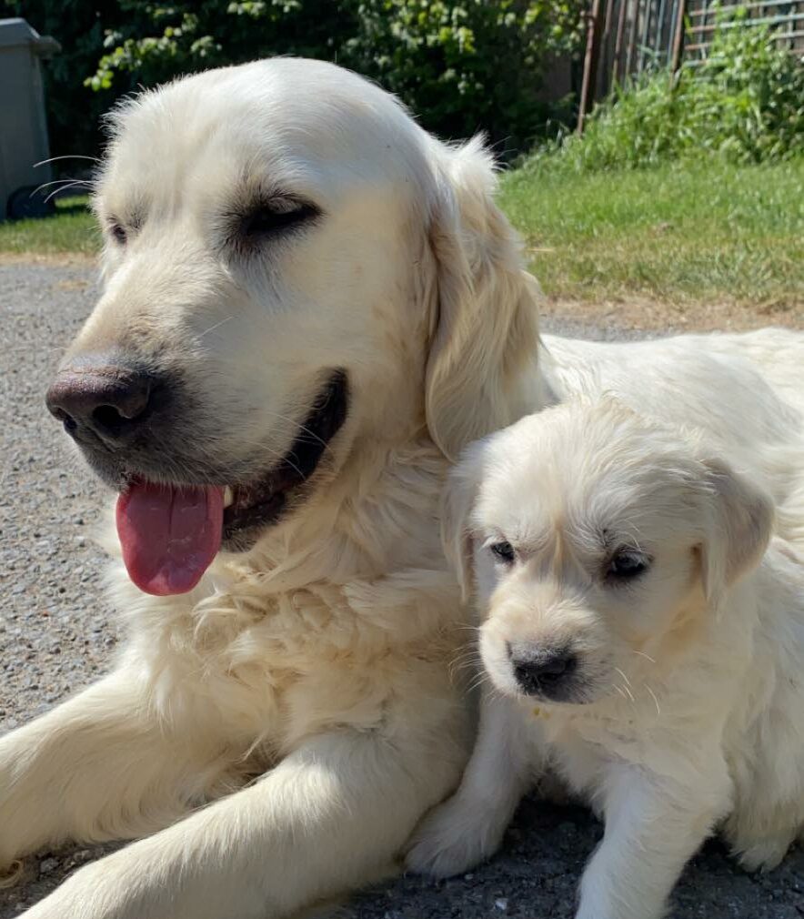 98323364_692853457923290_586947572086603776_n