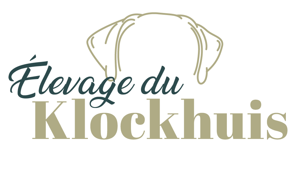logo-elevage-du-klockhuis