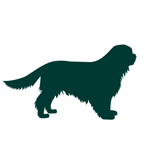 silhouette-cavalier-king-charles